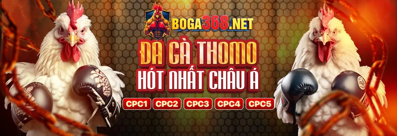 Sân chơi đá gà trực tuyến NAP88 sôi động với các chiến kê dũng mãnh